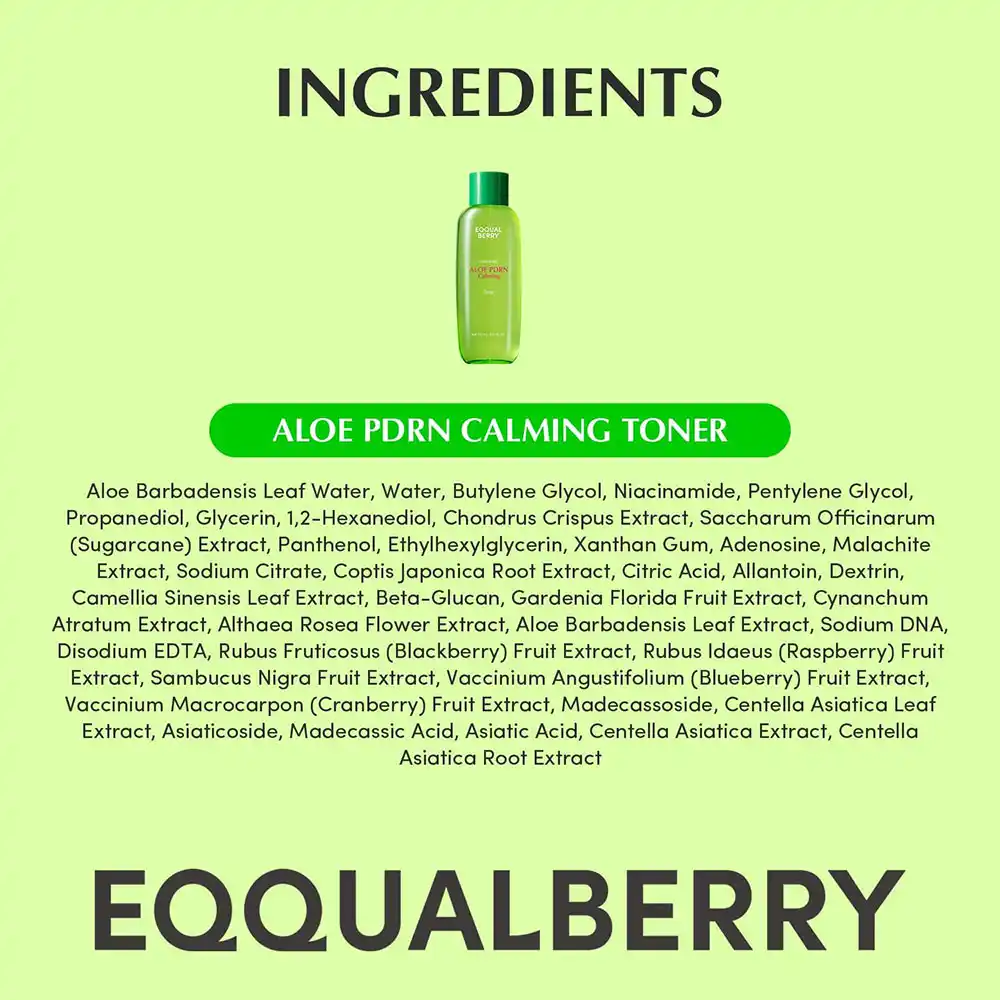 تونر PDRN آلوئه‌ورا اکوال بری EQQUALBERRY Aloe Calming Toner تسکین‌دهنده پوست حساس کره‌ای 150ml