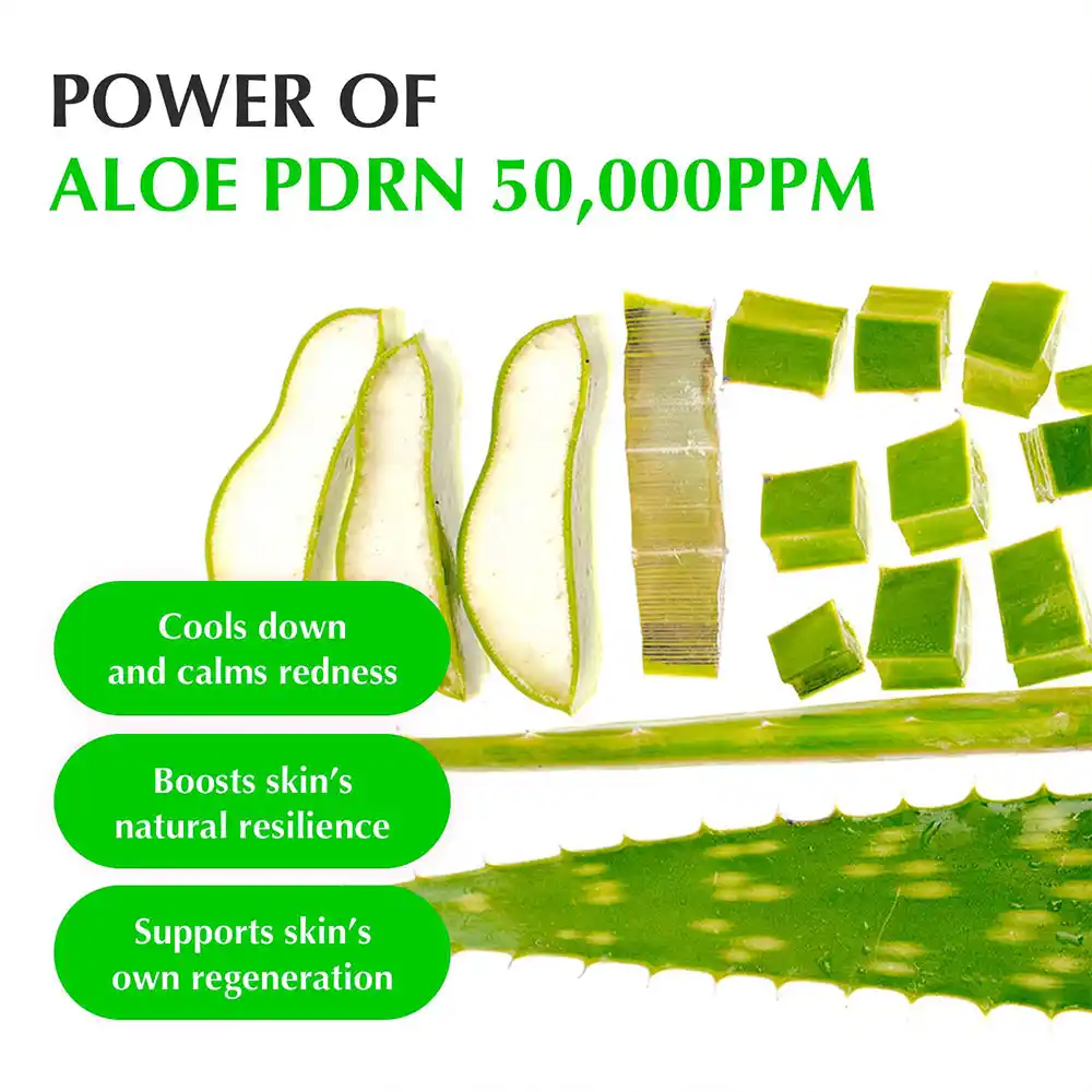 سرم ترمیم‌کننده و تسکین‌دهنده PDRN و آلوئه‌ورا اکوال بری EQQUALBERRY Aloe PDRN Calming Serum کره‌ای 30ml برای پوست حساس و آسیب‌دیده