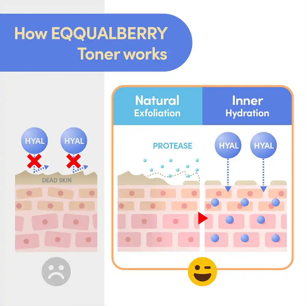 تونر آبرسان و تسکین‌دهنده اکوال بری EQQUALBERRY Swimming Pool Toner کره‌ای لایه‌بردار ملایم با آنزیم پروتئاز و هیالورونیک اسید برای پوست حساس