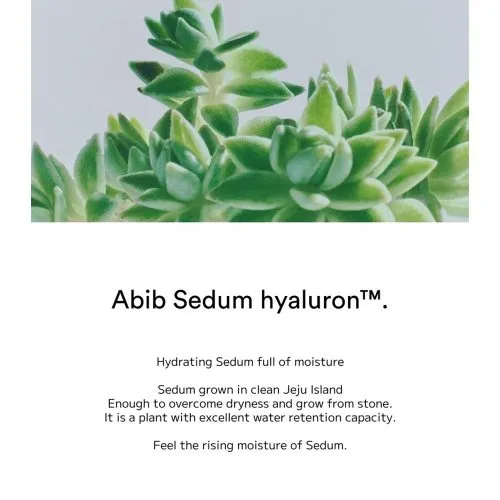 فوم شستشوی پاک کننده عمقی پوست ابیب سری سدوم هیالورون Abib Deep Clean Foam Cleanser Sedum Hyaluron Foam