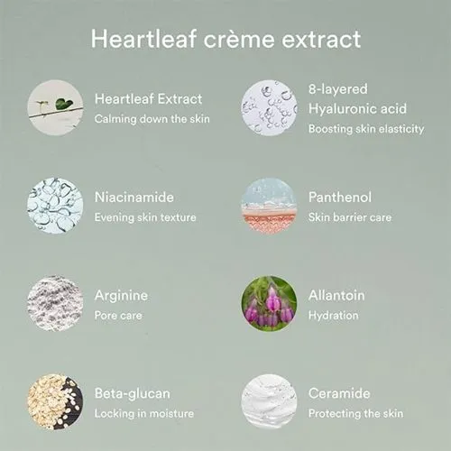 کرم تقویت کننده و تسکین دهنده هارتلیف ابیب ABIB Heartleaf Cream Calming