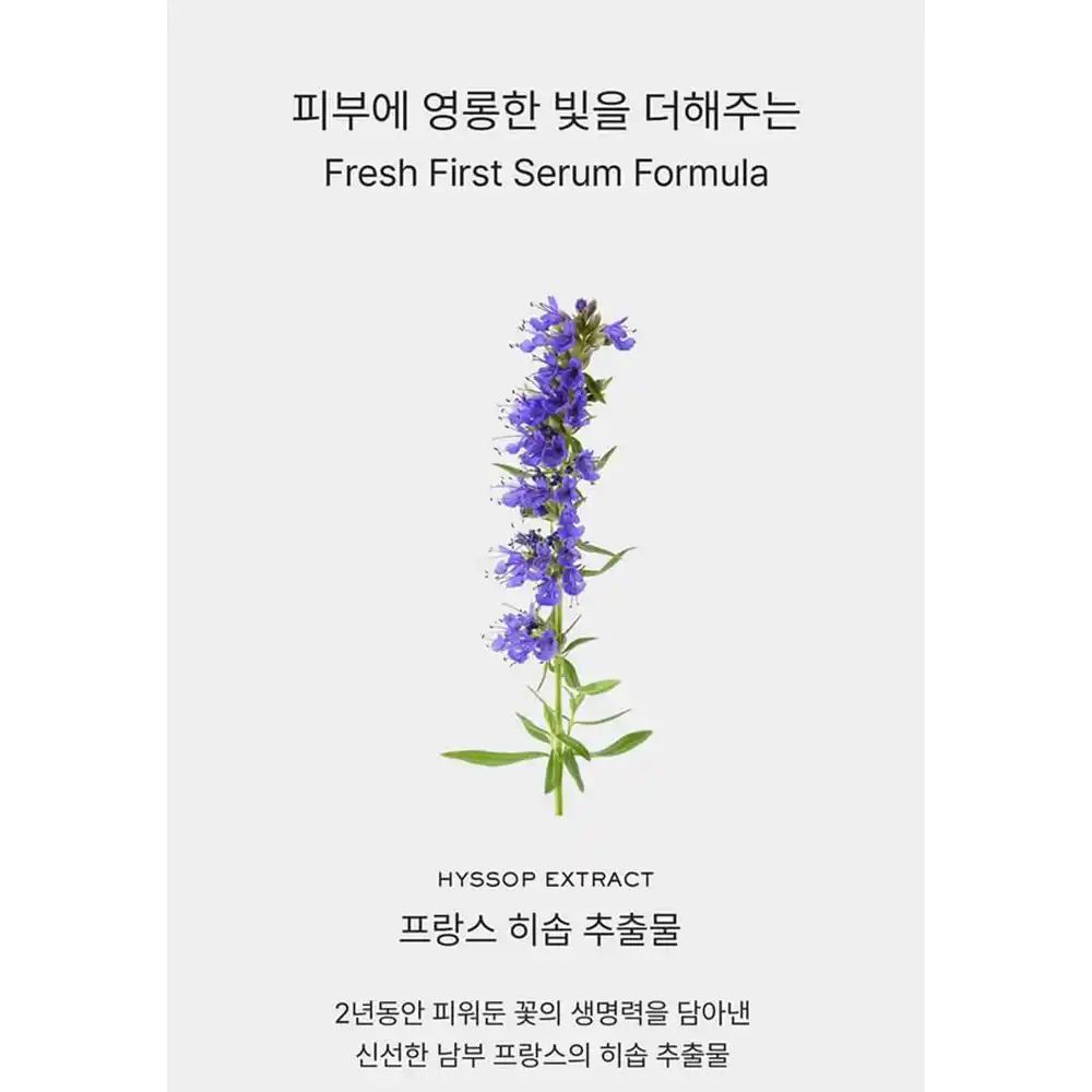 خرید سرم ماسک تسکین دهنده و روشن کننده آرنسیا Holy Hyssop Serum | ضد لک، آبرسان و درخشان کننده پوست