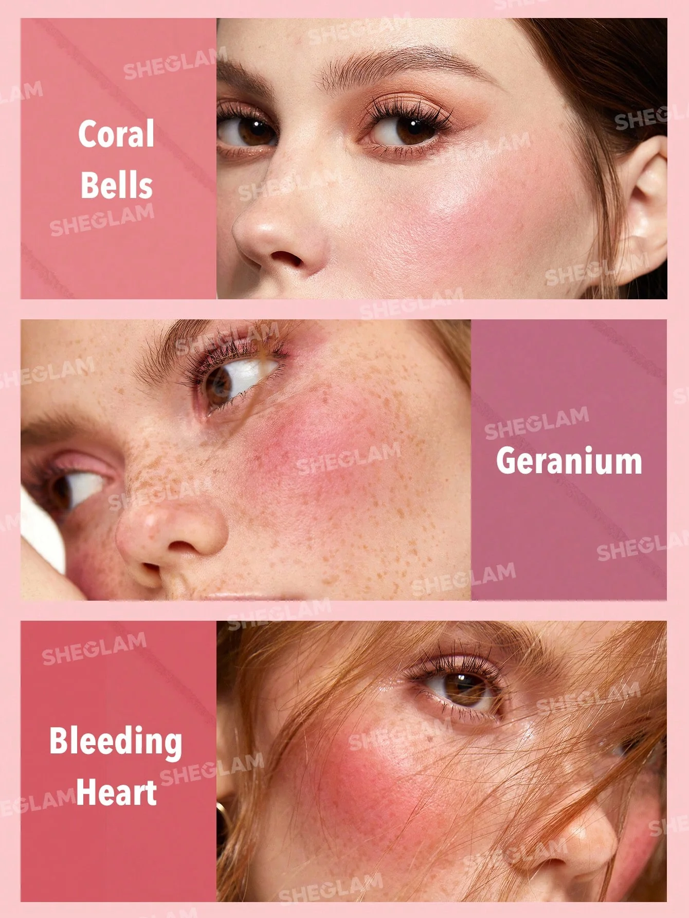 پالت رژگونه 6 رنگ شیگلم floral flush blush رنگ Blushing Bouquet