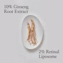 سرم-دور-چشم-آبرسان-و-ضد-چین-و-چروک-بیوتی-آف-جوسان-Beauty-of-Joseon-Revive-Eye-Serum-Ginseng-Retinal-30ml-