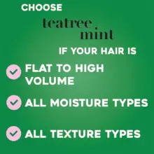 شامپو شاداب‌کننده درخت چای و نعناع او جی ایکس OGX Refreshing Scalp Teatree Mint Shampoo با روغن درخت چای، نعناع و هاماملیس برای پاکسازی عمیق و تقویت پوست سر بدون سولفات