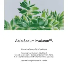 فوم-شستشوی-پاک-کننده-عمقی-پوست-ابیب-سری-سدوم-هیالورون-Abib-Deep-Clean-Foam-Cleanser-Sedum-Hyaluron-Foam