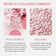 ماسک خواب ضد چروک و جوانساز کلاژن لانیژ Laneige Bouncy & Firm Sleeping Mask با کمپلکس گل صد تومانی و کلاژن برای سفت‌کنندگی و آبرسانی پوست